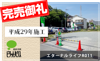 エターナルライフ011